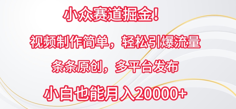 小众赛道掘金，视频制作简单，轻松引爆流量，条条原创，多平台发布【揭秘】-婷好网络资源库