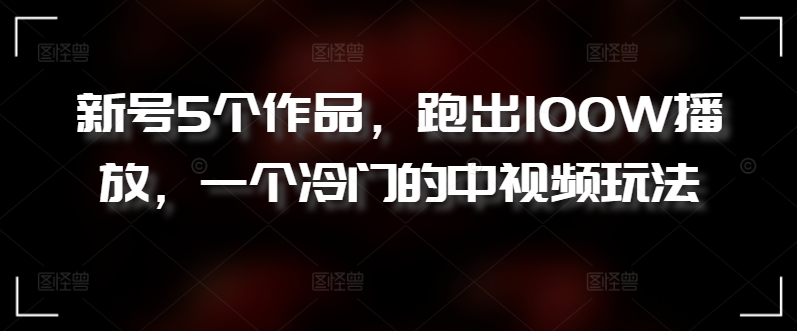 新号5个作品，跑出100W播放，一个冷门的中视频玩法【揭秘】-婷好网络资源库