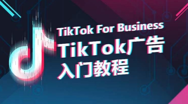 TikTok广告入门教程，从0到1掌握TikTok投放的全流程-婷好网络资源库