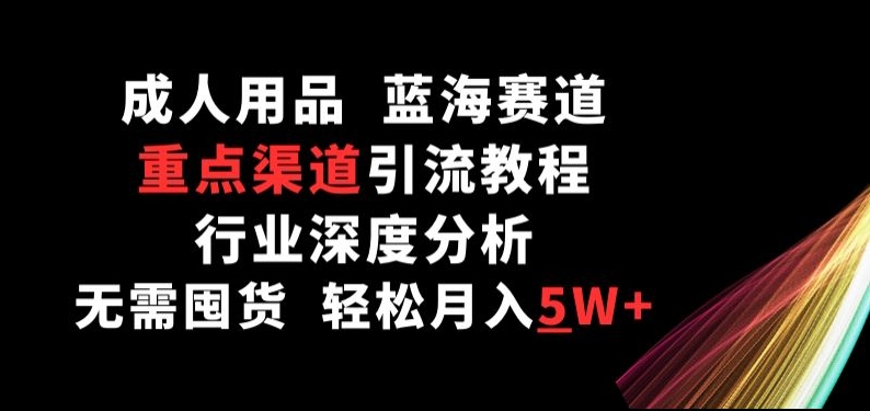 成人用品，蓝海赛道，重点渠道引流教程，行业深度分析，无需囤货，轻松月入5W+【揭秘】-婷好网络资源库