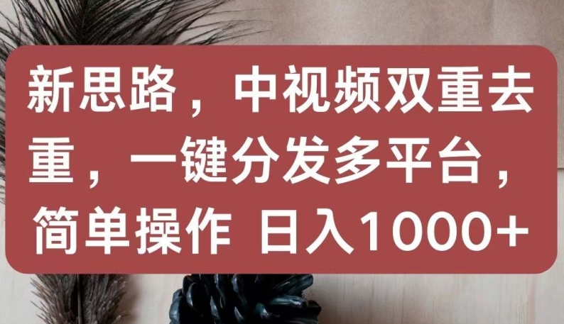 新思路，中视频双重去重，一键分发多平台，简单操作，日入1000+【揭秘】-婷好网络资源库