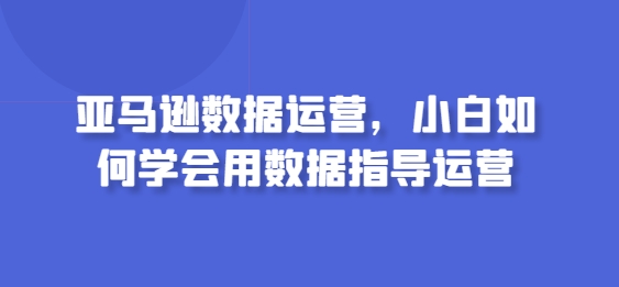 亚马逊数据运营，小白如何学会用数据指导运营-婷好网络资源库