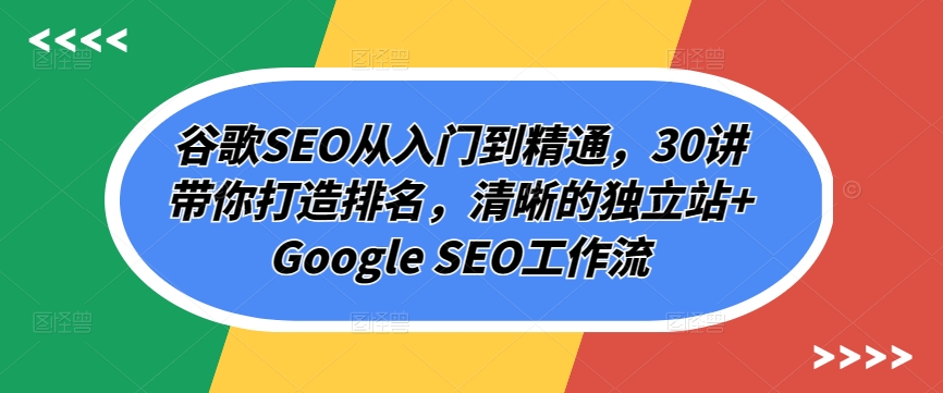 谷歌SEO从入门到精通，30讲带你打造排名，清晰的独立站+Google SEO工作流-婷好网络资源库