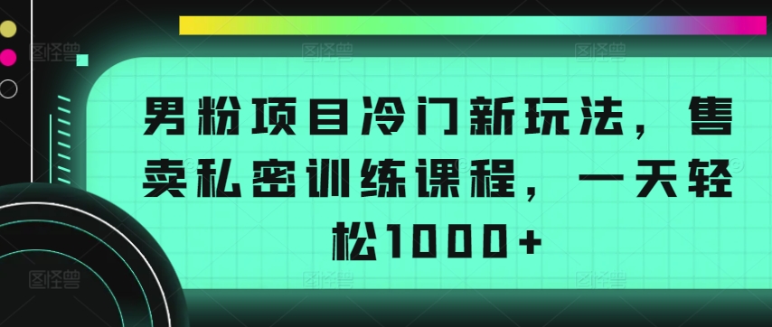 男粉项目冷门新玩法，售卖私密训练课程，一天轻松1000+【揭秘】-婷好网络资源库