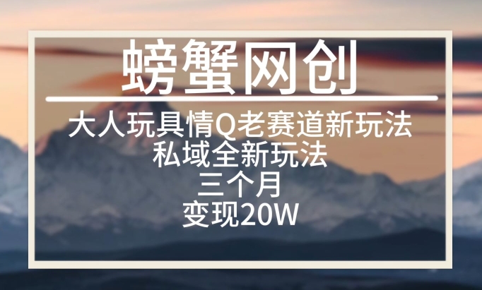 大人玩具情Q用品赛道私域全新玩法，三个月变现20W，老项目新思路【揭秘】-婷好网络资源库