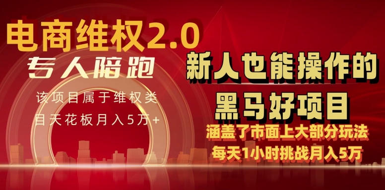 电商维权 4.0 如何做到月入 5 万+每天 1 小时新人也能快速上手【仅揭秘】-婷好网络资源库