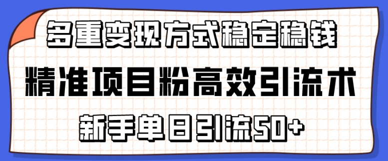 精准项目粉高效引流术，新手单日引流50+，多重变现方式稳定赚钱【揭秘】-婷好网络资源库