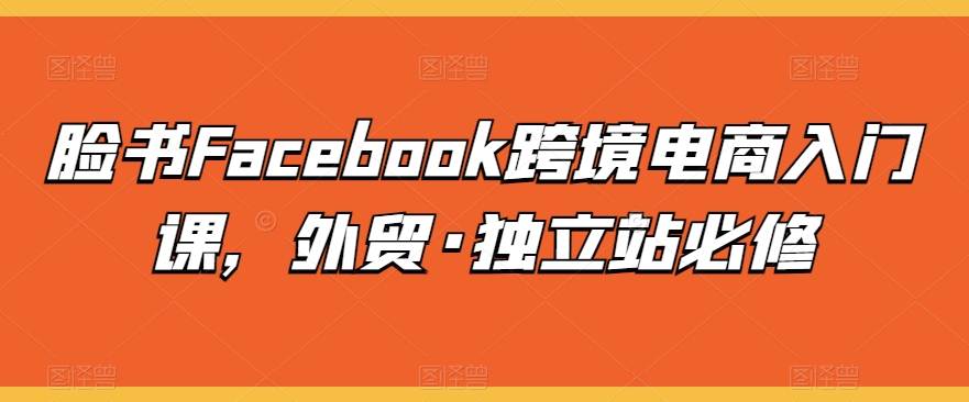 脸书Facebook跨境电商入门课，外贸·独立站必修-婷好网络资源库