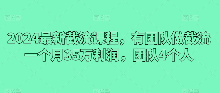 2024最新截流课程，有团队做截流一个月35万利润，团队4个人-婷好网络资源库