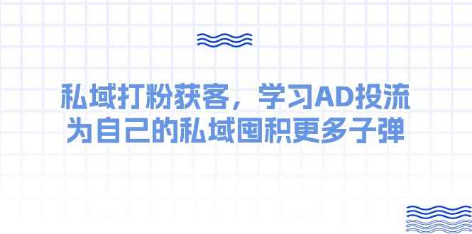 （10728期）某收费课：私域打粉获客，学习AD投流，为自己的私域囤积更多子弹