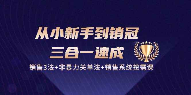 图片[1]-（10799期）从小新手到销冠 三合一速成：销售3法+非暴力关单法+销售系统挖需课 (27节)