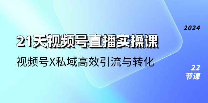 （10966期）21天-视频号直播实操课，视频号X私域高效引流与转化（22节课）