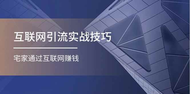 （11108期）互联网引流实操技巧(适合微商，吸引宝妈)，宅家通过互联网赚钱（17节）