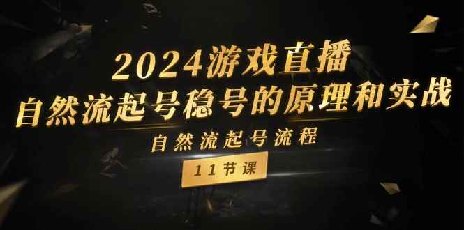 （11653期）2024游戏直播-自然流起号稳号的原理和实战，自然流起号流程（11节）