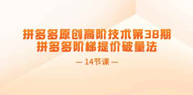 （11704期）拼多多原创高阶技术第38期，拼多多阶梯提价破量法（14节课）