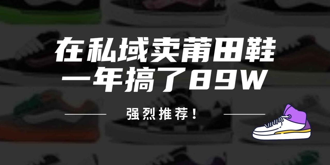 图片[1]-（12370期）24年在私域卖莆田鞋，一年搞了89W，强烈推荐！