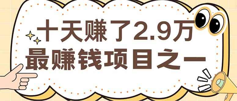 （12491期）闲鱼小红书赚钱项目之一，轻松月入6万+项目