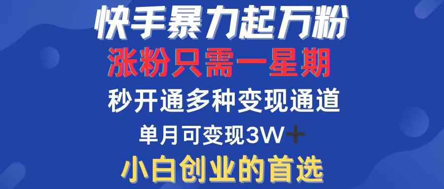 （12651期）快手暴力起万粉，涨粉只需一星期，多种变现模式，直接秒开万合，小白创…