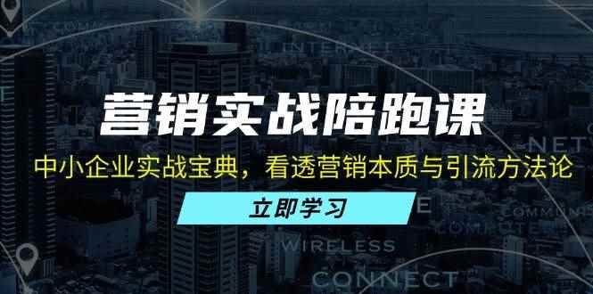 （13146期）营销实战陪跑课：中小企业实战宝典，看透营销本质与引流方法论