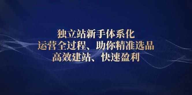 （13914期）独立站新手体系化 运营全过程，助你精准选品、高效建站、快速盈利