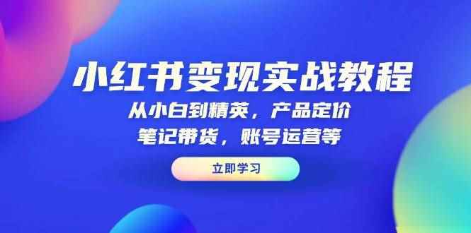 （13923期）小红书变现实战教程：从小白到精英，产品定价，笔记带货，账号运营等