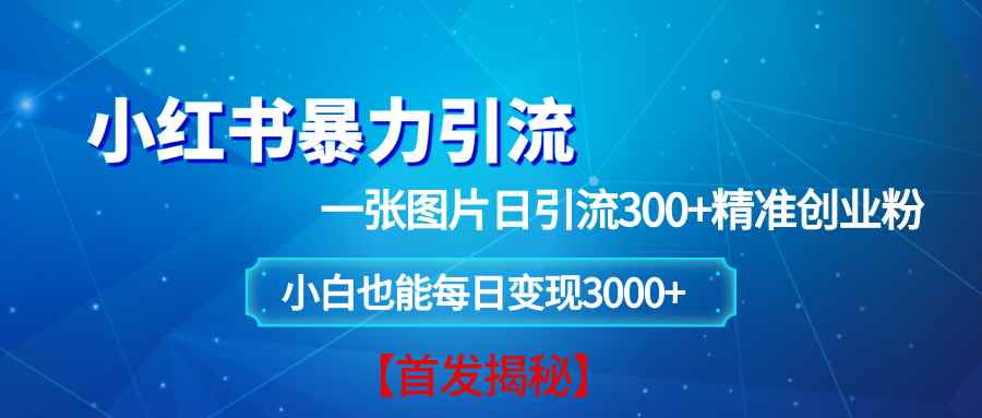 （13935期）小红书暴力引流法，一张图片日引 300+精准创业粉，每日稳定变现 3000+【揭秘】