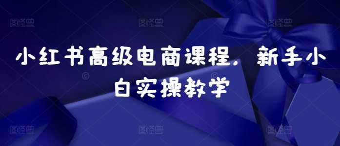 小红书高级电商课程，新手小白实操教学