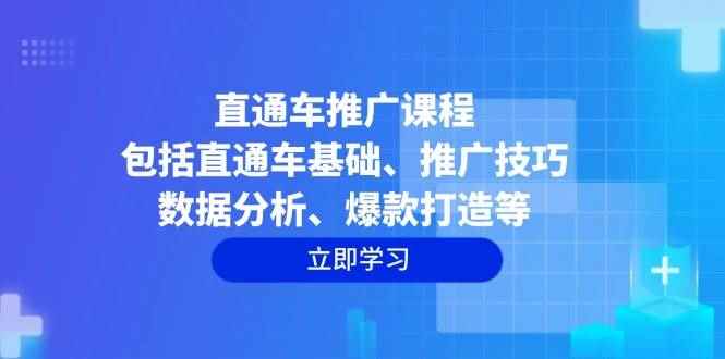 （14001期）直通车推广课程：包括直通车基础、推广技巧、数据分析、爆款打造等