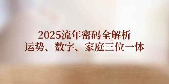 （14466期）2025流年密码全解析，运势、数字、家庭三位一体