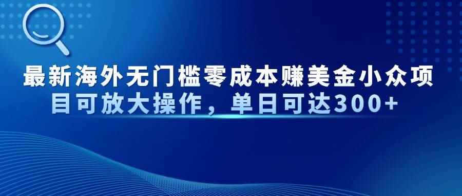 （14542期）最新海外无门槛零成本赚美金小众项目可放大操作，单日可达300+